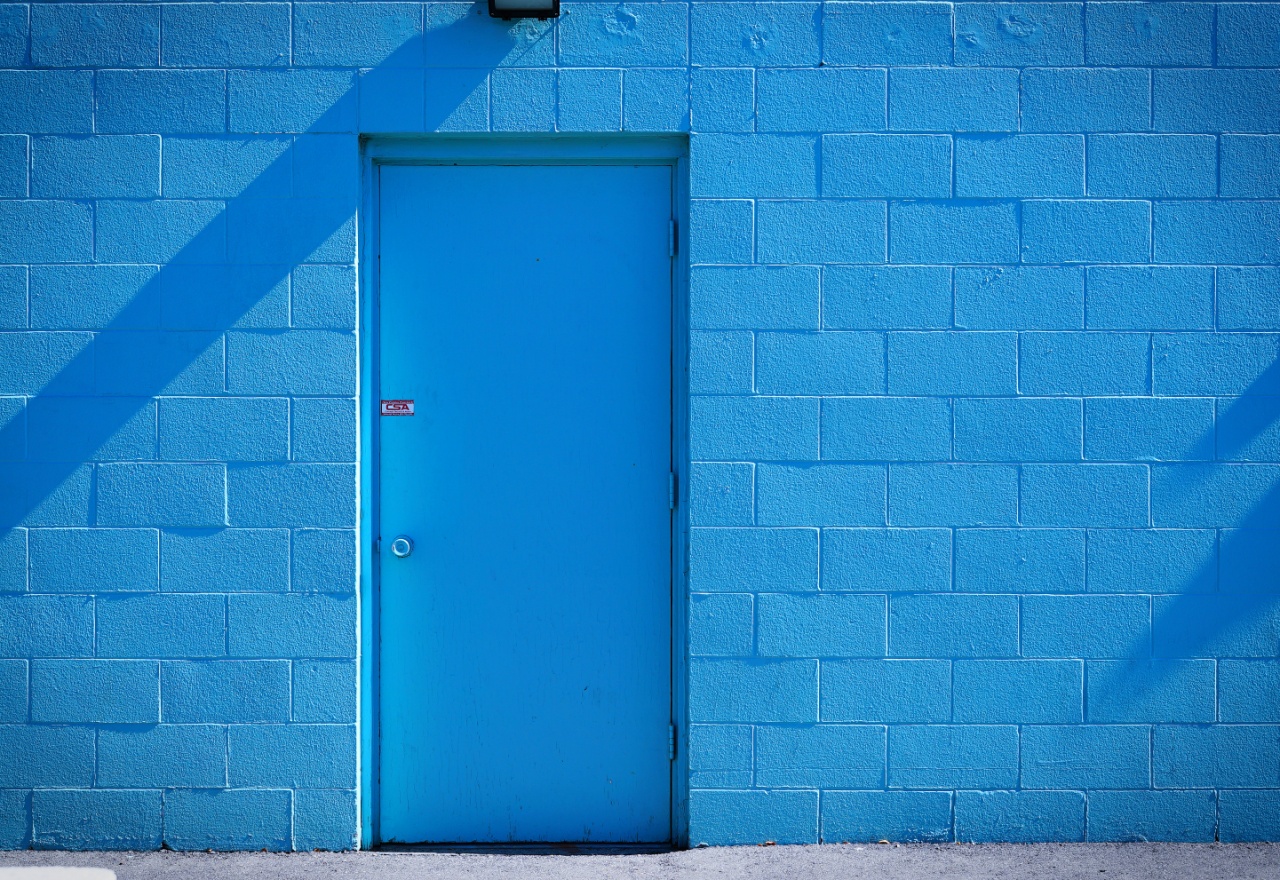 Bluedoor1resize